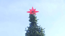 В Саратове начали устанавливать новогодние елки