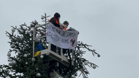 Экоактивисты обезглавили рождественскую ель в Берлине