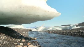 Глобальное потепление пришло в самые холодные регионы Гренландии