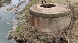 В Калининградской области люди жалуются на слив сточных вод в реку Тростянка