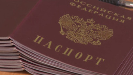 От российского гражданства в прошлом году отказались 40 человек