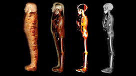 Четыре этапа "цифрового разворачивания" мумии.