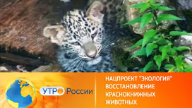Сохранение вымирающих видов животных в России