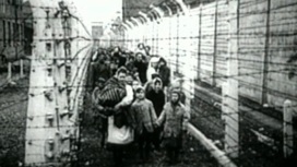 ФСБ рассекретила новые документы о зверствах нацистов в Освенциме