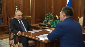 Краснов доложил Путину о главных направлениях работы Генпрокуратуры