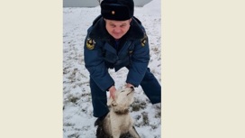 В Ливнах на помощь застрявшему в заборе щенку пришли спасатели