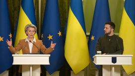 Делегацию ЕС призвали не одеваться в хаки и ехать в Киев без чемоданов