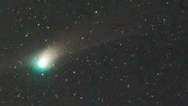 Уникальную зеленую комету могут наблюдать читинцы