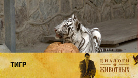 Ташкентский зоопарк Серия 2