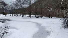 На юг России обрушились снегопады