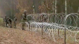 Тела трех мигрантов обнаружены у белорусско-польской границы
