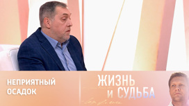 Никита Высоцкий об отношении к памятникам отцу на Украине
