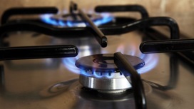 Как отличить газовые службы от мошенников и самозванцев рассказали новосибирцам