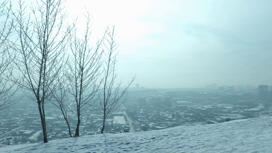 В Красноярске почти весь февраль качество воздуха оставляет желать лучшего