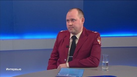Андрей Суковатицын – о том, насколько бешенство распространено и опасно для человека