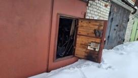 Тела школьницы и молодого человека нашли в гараже в Подмосковье