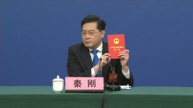 Пекин будет противостоять блоковому мышлению и любым формам гегемонии
