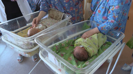 С начала года в Костромской области родилось 11 пар двойняшек