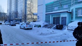 Державший сына в заложниках житель Нижневартовска арестован