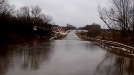 Паводок в Липецкой области сносит машины и людей