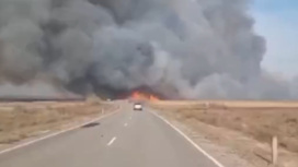 Очевидцы сняли кадры крупного пожара в Астраханском заповеднике