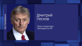 Дмитрий Песков оценил ничтожное решение МУС о выдаче "ордера на арест Путина"