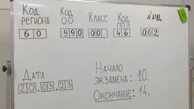 Родители псковских школьников попробовали сдать ЕГЭ по русскому языку