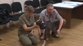 Ветеринарный врач из Москвы провел мастер-класс для забайкальских коллег