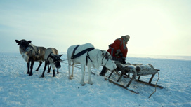 Арктические кочевники отправляются к Карскому морю