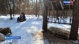 Столовые для косуль открыли волонтеры в районах Новосибирской области