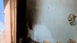 Двоих детей спасли из горящей квартиры в Челябинской области