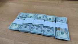 В аэропорту Сочи у пассажирки отобрали 40 тысяч долларов
