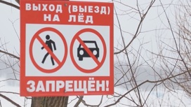 Губернатор Владимирской области поручил усилить контроль за безопасностью детей