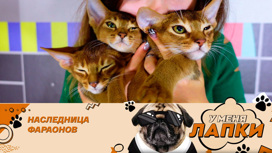 Эфир от 23.10.2022