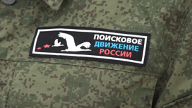 Волгоград объединит участников 36 регионов на Всероссийском слете поисковых отрядов