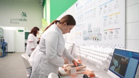 Почти 1,5 тыс. белгородских студентов стали участниками программы "Профессионалитет" в 2022 году
