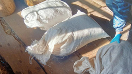 Более 10 кг марихуаны хранил в своем доме мужчина в Шегарском районе