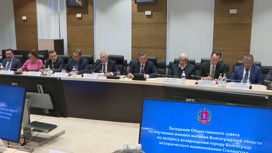 В Волгограде стартует опрос о проведении референдума по переименованию города в Сталинград