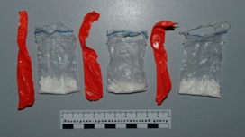 Транспортная полиция изъяла более 12 граммов наркотиков