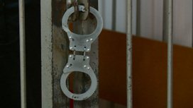 Гаджеты друга поменял на выпивку и закуски житель Благовещенска