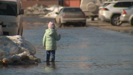 Талые воды затопили коттеджный поселок Озерный под Новосибирском