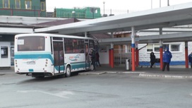 Все 4 конкурса на организацию автобусных рейсов между "Храброво" и курортными городами Светлогорском и Зеленоградском провалились