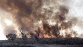 Природный пожар чуть не подобрался к Ташинскому заказнику в Ромненском округе