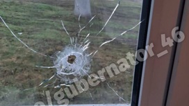 Украинский дрон атаковал село в Курской области