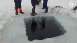 Тела троих убитых нашли подо льдом магаданской бухты