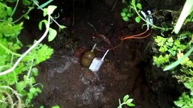 Украинский дрон сбросил гранату рядом с жилым домом в Запорожье