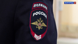Авторские материалы