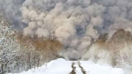 Вулкан Шивелуч снова выбросил многокилометровый столб пепла