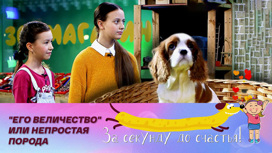 "Профессиональный" домашний любимец
