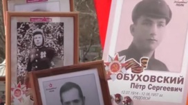 Авторские материалы